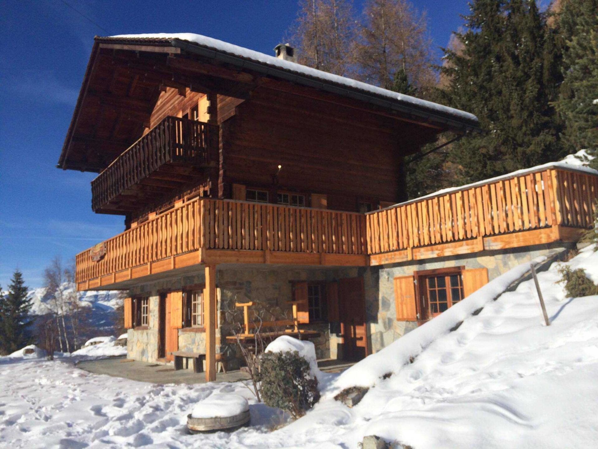 a dream of a Swiss watchmaker